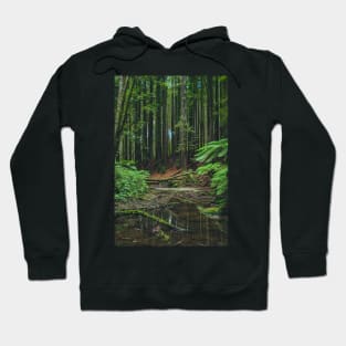 Otways Redwood Forest Hoodie